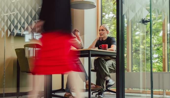Etablering af holdingselskab ved generationsskifte