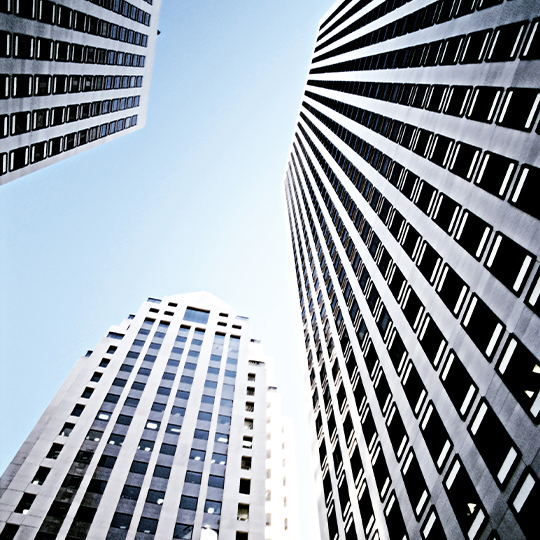 Who is required to undergo an audit?
